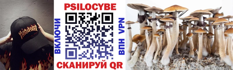 Галлюциногенные грибы Psilocybe  наркотики  Чернушка 