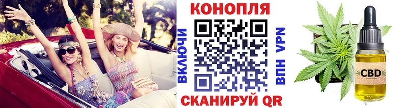 kraken ONION  Чернушка  Каннабис сатива 