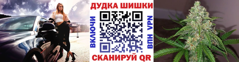 МАРИХУАНА OG Kush Чернушка